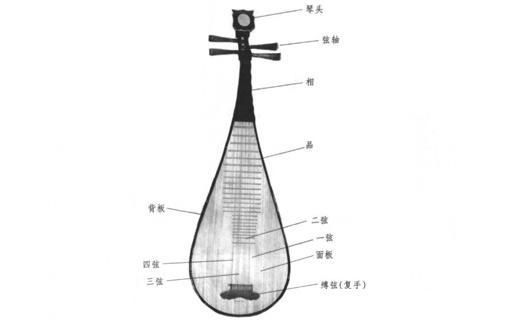 琵琶的基本介绍和历史来源